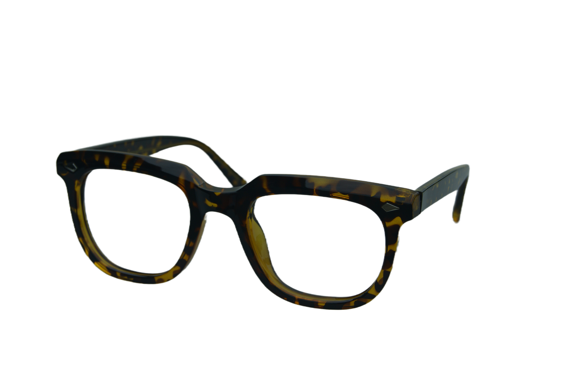 Remy Glasses Ezyglasses.co.nz