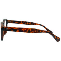 Hammersmith - Tortoise Shell